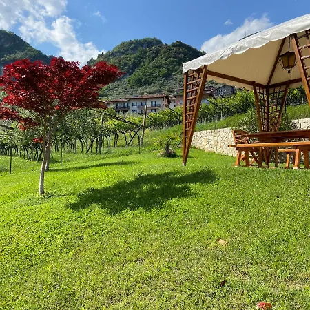Ferienhaus Desy